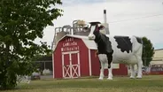Small Farms