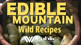 Wild Recipes