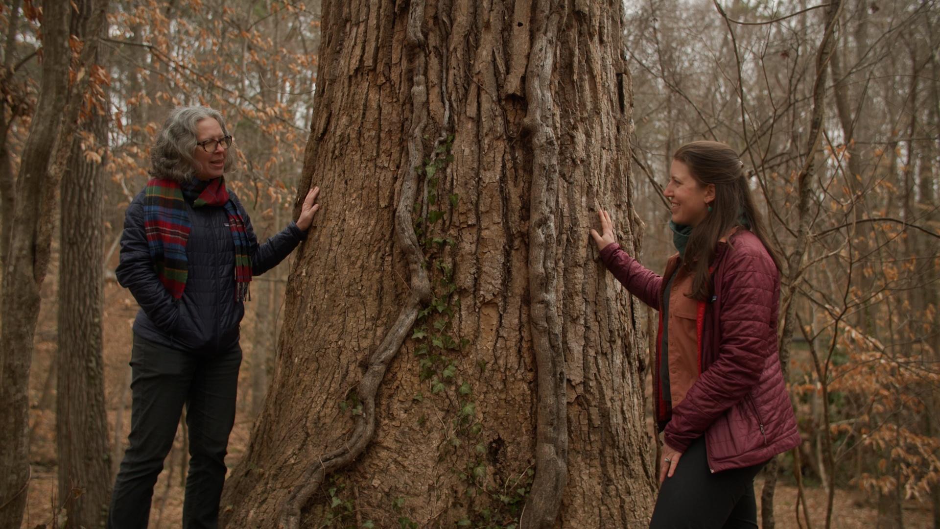 Two white women standing next to the trunk of a large tree, resting one of their hand on it.
