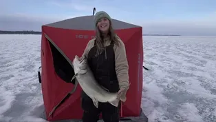 Lake Trout, Beagles Chasing Rabbits, Kids Archery