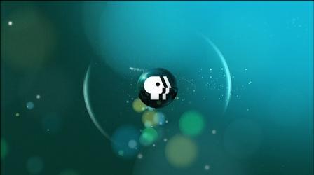Video thumbnail: WEDU Presents November 2017 Highlights