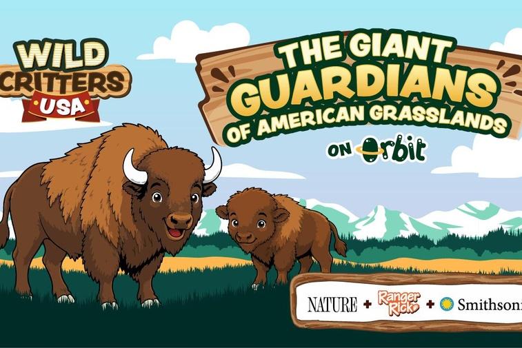 The Fluffy Guardians of American Grasslands | Wild Critters USA Poster