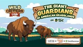 The Fluffy Guardians of American Grasslands | Wild Critters USA: asset-mezzanine-16x9