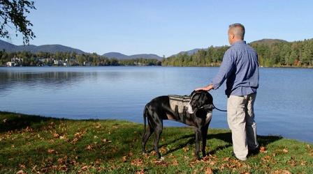 Video thumbnail: Mountain Lake Journal November 10th, 2017