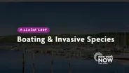 A Closer Look: Invasive Species