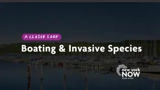 A Closer Look: Invasive Species