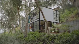 Case Study House #8: The Eames House