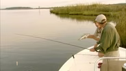 Morning Bite