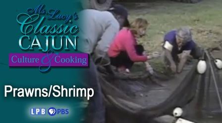 Video thumbnail: Ms. Lucy's Classic Cajun Culture and Cooking Prawns/Shrimp