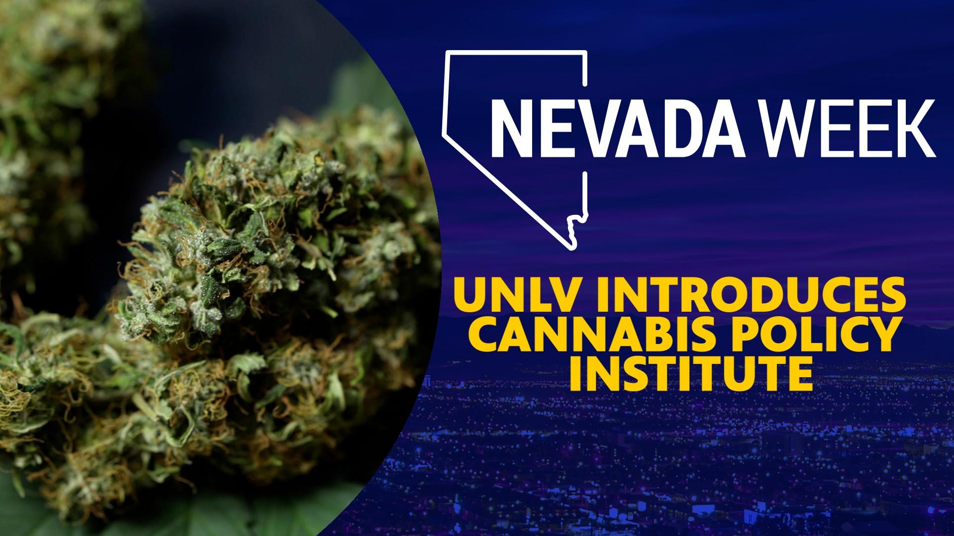 UNLV Introduces Cannabis Policy Institute