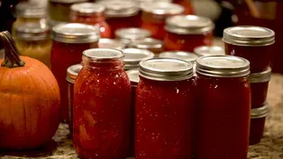 Living Off The Land - Autumn Garden Tomato Sauce