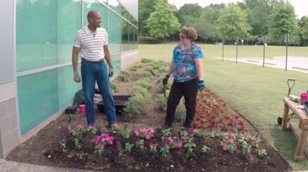 Video thumbnail: The Family Plot Planting Summer Color & Cucumbers