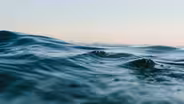 Preview | What’s in the Water?