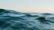Preview | What’s in the Water?