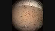 Web Extra: InSight Spacecraft