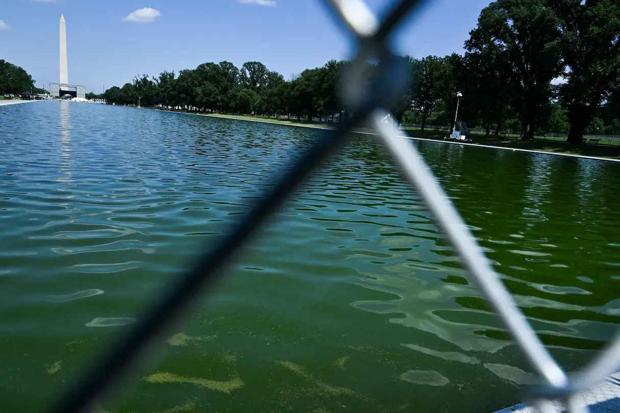 News Wrap: Olympian faces Reflecting Pool vandalism charge