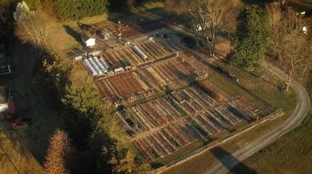 Video thumbnail: Virginia Home Grown Senior Gardening