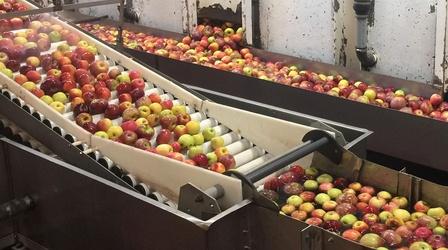 Video thumbnail: Maryland Farm & Harvest Episode 612