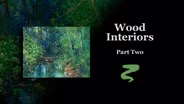 Wood Interiors Part II