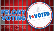 Do the Crime, Do the Time…and Lose Your Vote?