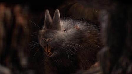 Video thumbnail: Eons Why Did These Ancient Gophers Have Horns?