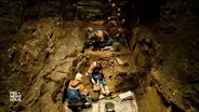 This ancient DNA revolution is unlocking just how interconne
