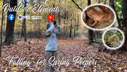 Falling for Spring Peepers