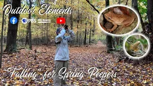 Falling for Spring Peepers