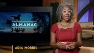 Weekly Essay | Adia Morris | What Are You Waiting For?
