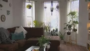 Black-Owned Plant Shop Sees Business Bloom During Pandemic