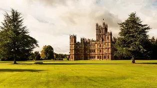 Lady of Downton