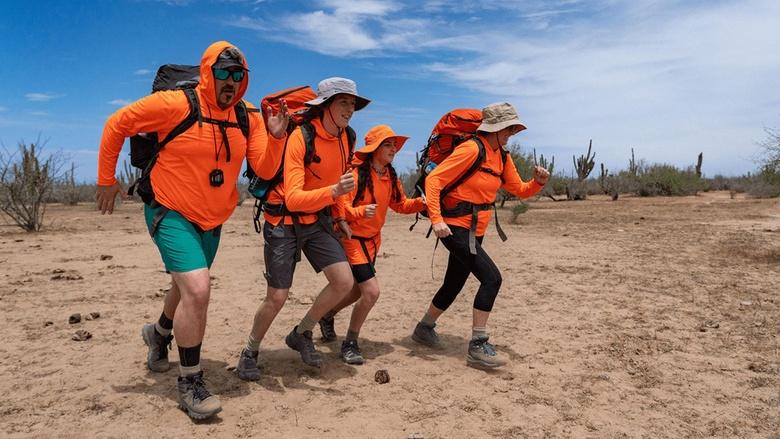 The Survivalists Image