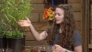 Rainwater soil infiltration