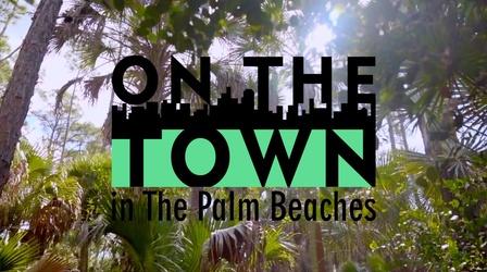 Video thumbnail: On The Town Eco-Adventures