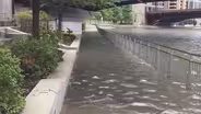 Tips for Conserving Water to Prevent Flooding in Chicago
