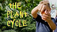 The Plant Cycle