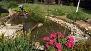 Volunteer Gardener 3204