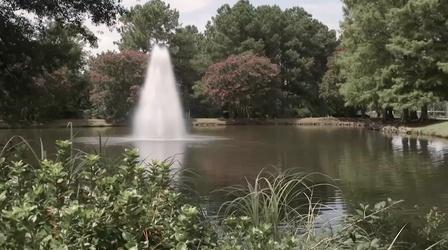 Video thumbnail: WCNY SciTech Now Retention Ponds, Surgeries, Passwords & Health Tech