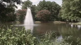 Retention Ponds, Surgeries, Passwords & Health Tech
