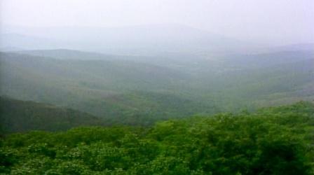 Video thumbnail: NatureScene Shenandoah National Park (1989)