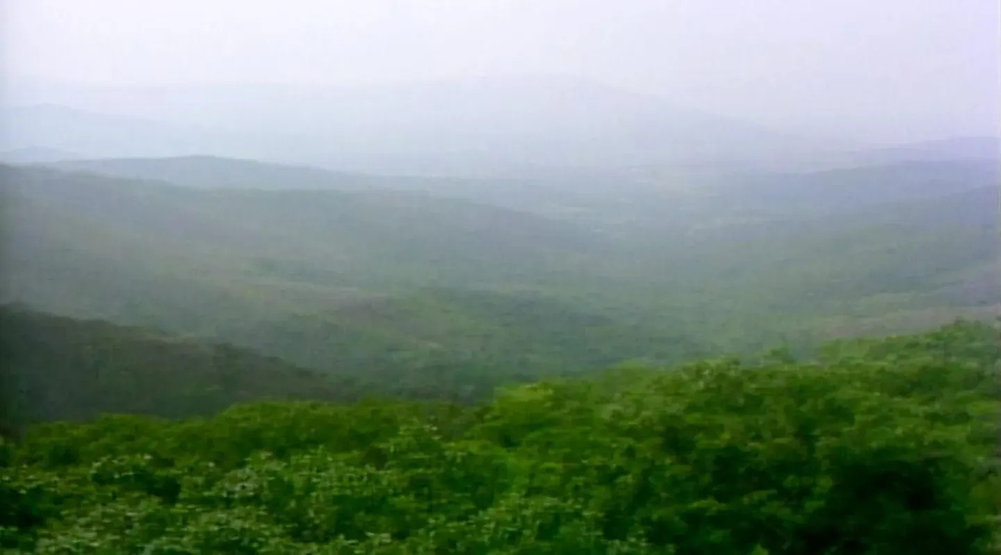 Shenandoah National Park (1989)