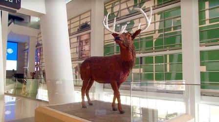 Video thumbnail: The Arts Page Milwaukee Bucks Art Collection