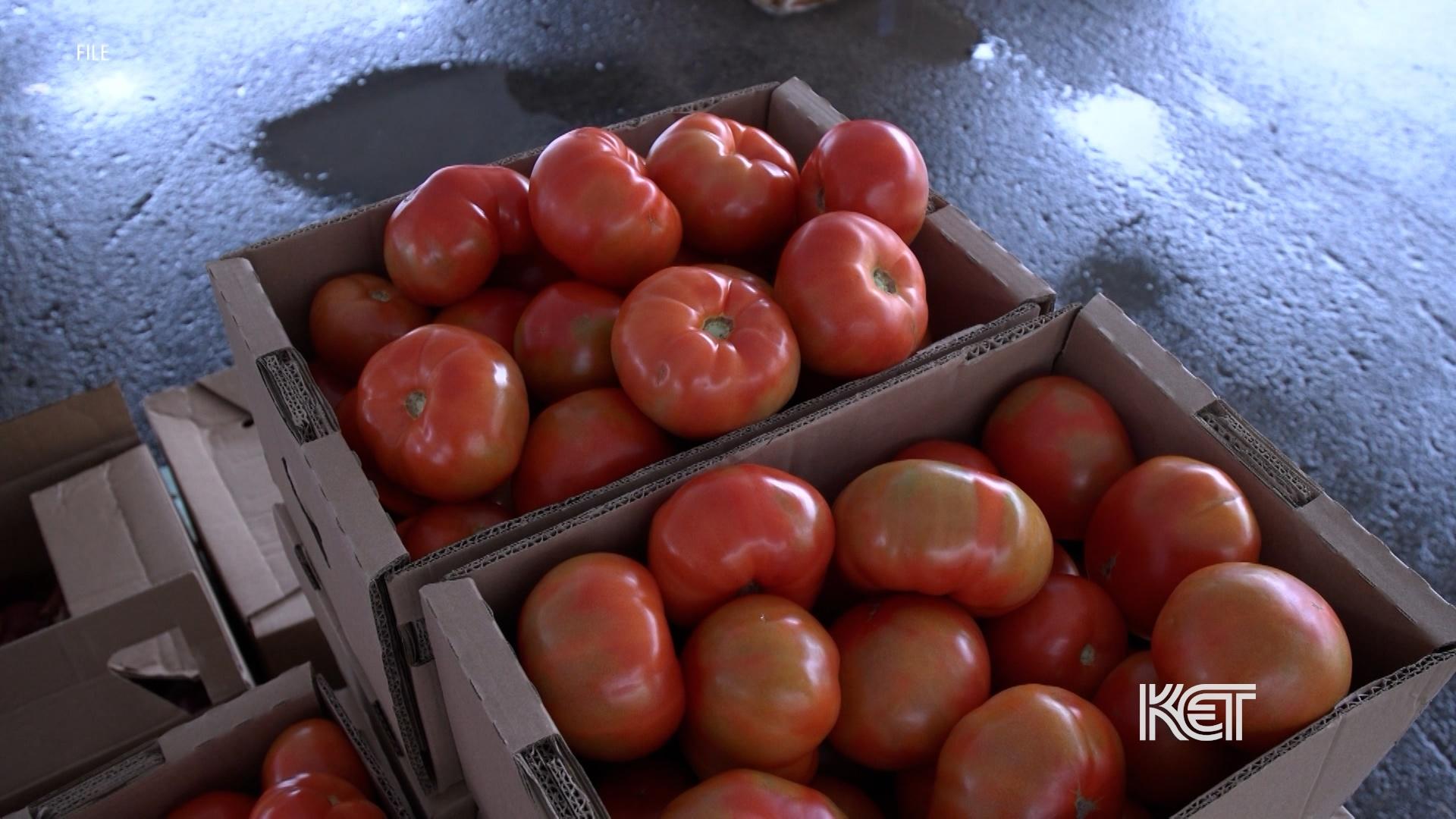 Eastern Kentucky University Will Start Accepting SNAP Benefits on Campus