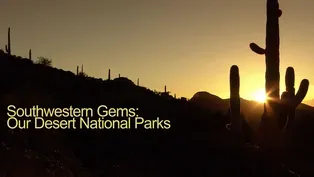 Southwestern Gems: Our Desert National Parks