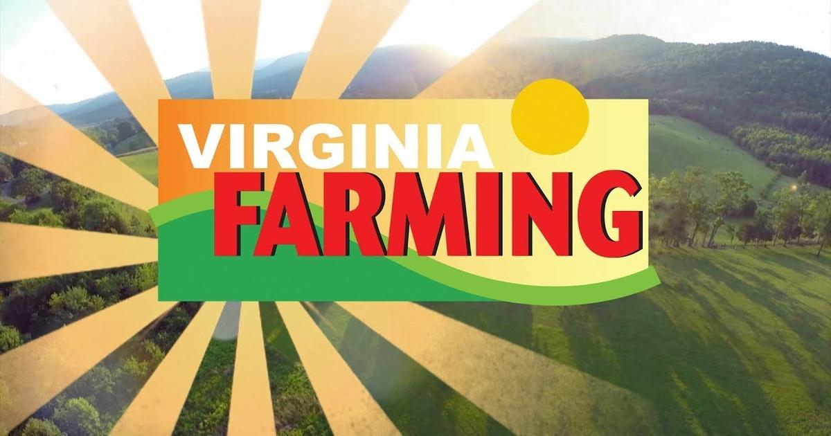 Virginia Farming | Virginia Farming: Chrysalis Vineyards | Season 14 ...