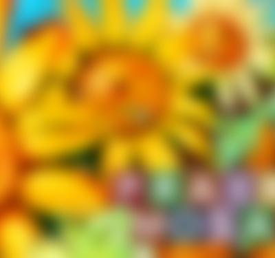 Prairie Mosaic