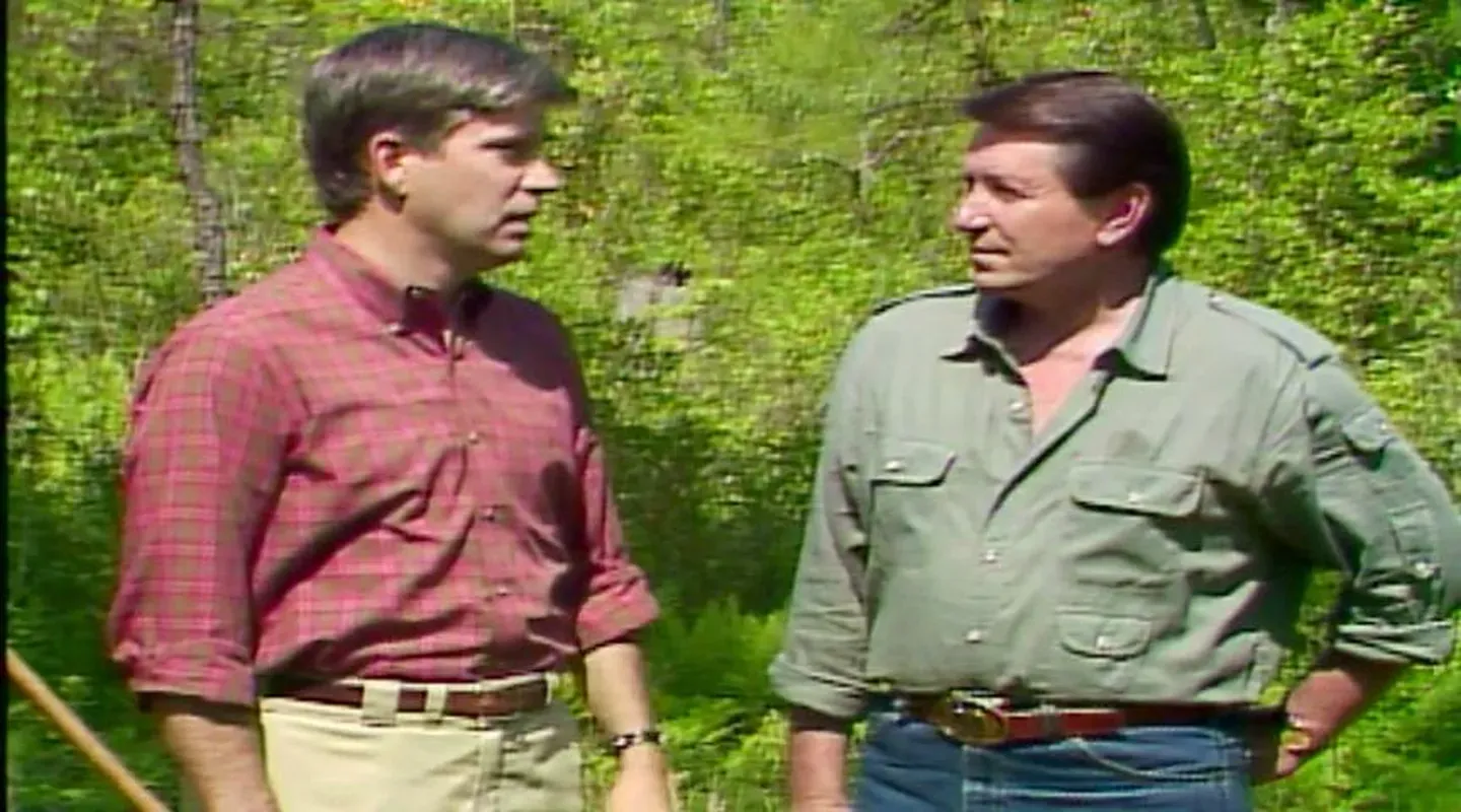 Cartwheel Bay (1988)