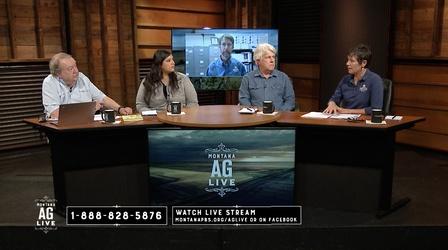 Video thumbnail: Montana Ag Live 5907: Invasive Species Update: Flora & Fauna