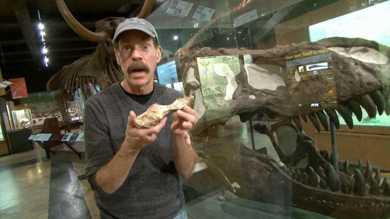 Museums