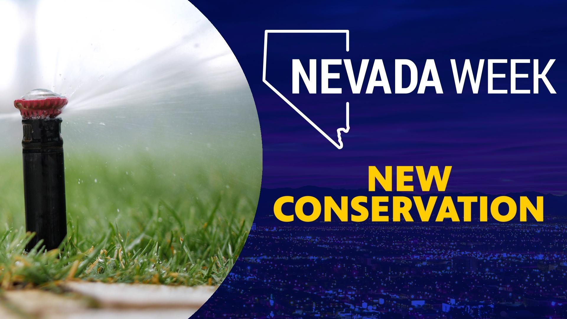 New Conservation